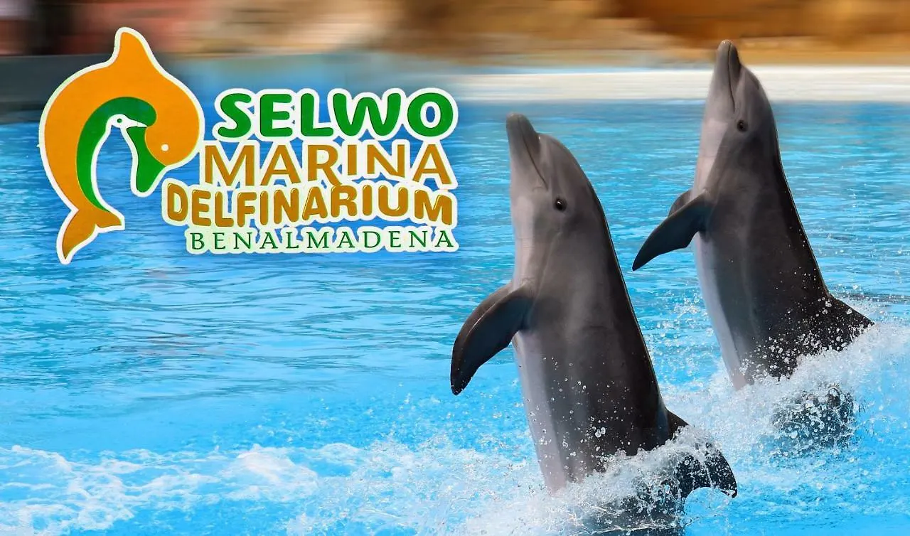 公寓 Apartamento Acuario 贝纳尔马德纳